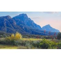 ac0033_-_kirstenbosch_gardens