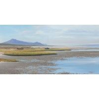 ac0139_-_churchhaven_west_coat_national_park_1