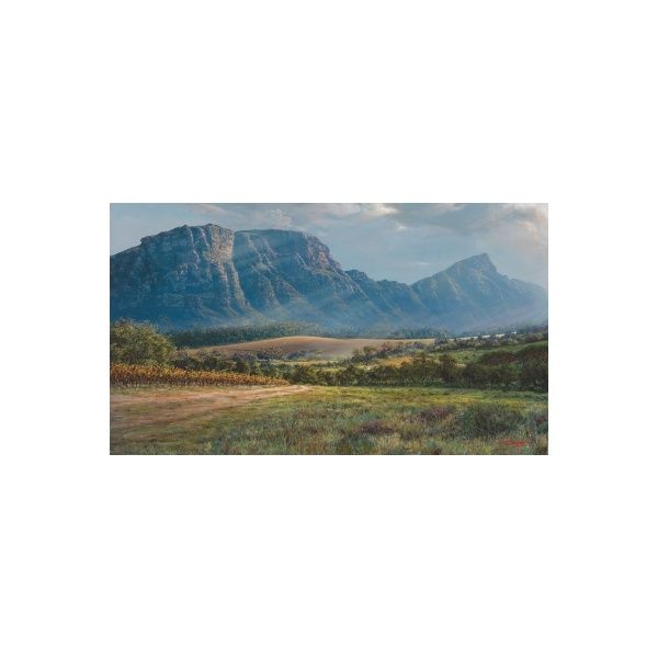 ac0136_-_constantia_valley_from_hohenort_ave