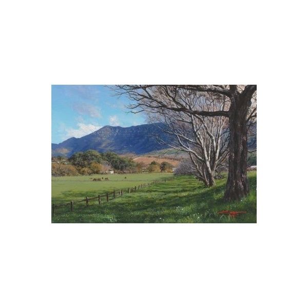 ac0177_mini_coopers_-_cows_grazing_buitenverwachting