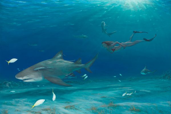 Shark Lady 001 painting