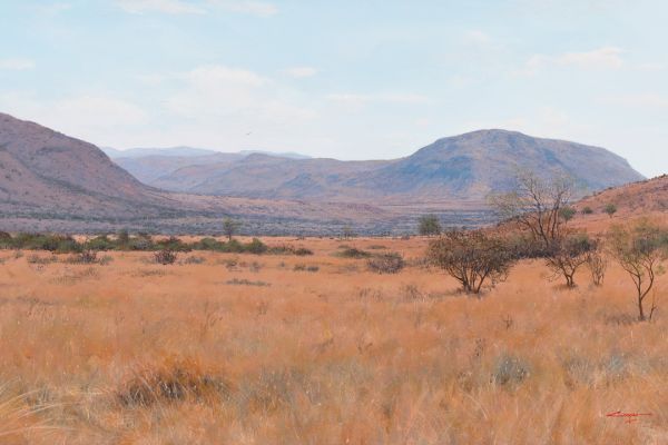  A Dry October, Pilansberg painting