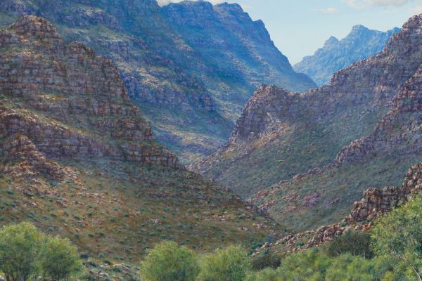 River Oasis painting