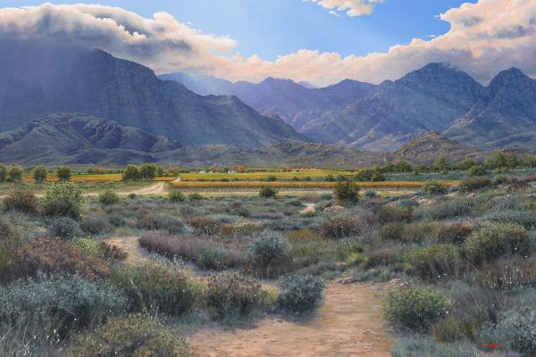 Fynbos Pathway, Worcester painting