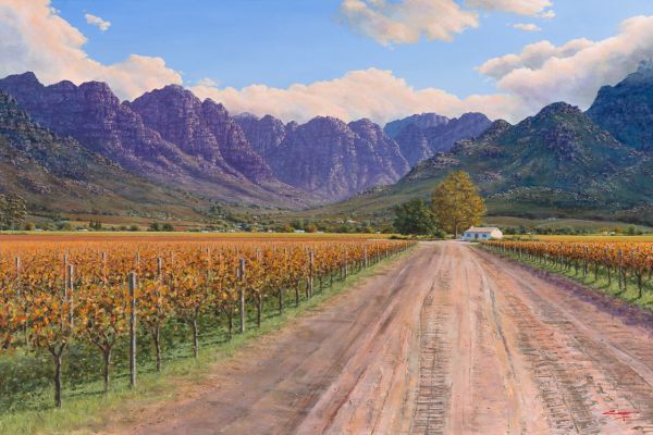Into The Vineyards, Rawsonville painting